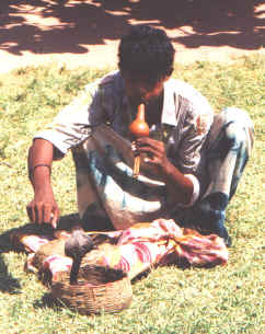 GALLECHARMER.JPG (147966 bytes)
