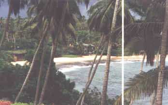 TANBEACH1.JPG (126062 bytes)