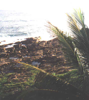 TANBEACH4.JPG (98842 bytes)